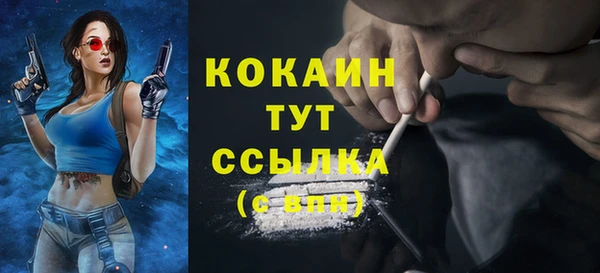 спайс Сосновый Бор