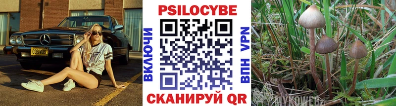 Галлюциногенные грибы GOLDEN TEACHER  Бокситогорск 